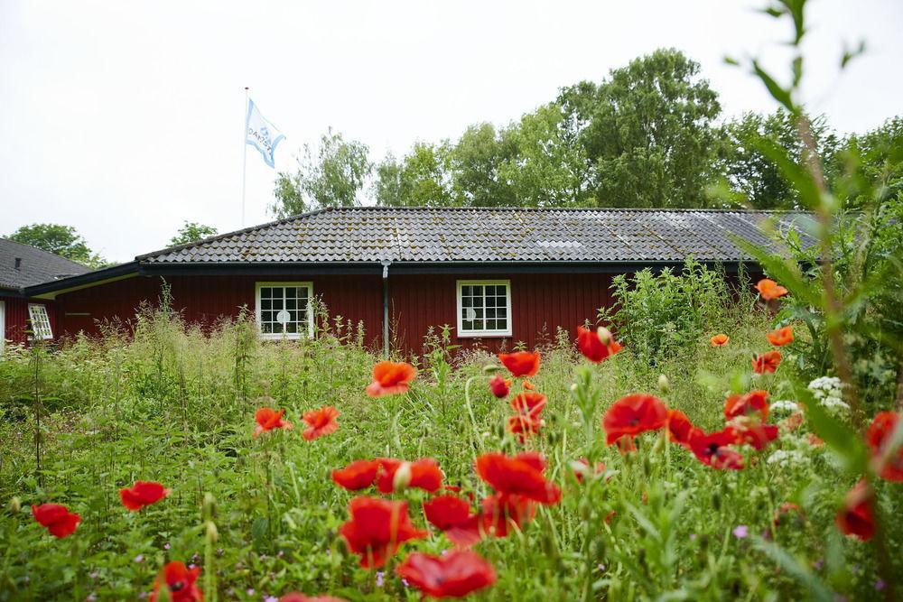 Kerteminde Hostel Exterior foto